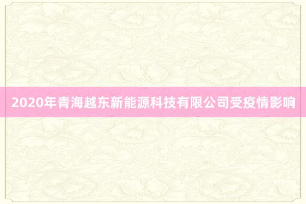 2020年青海越东新能源科技有限公司受疫情影响