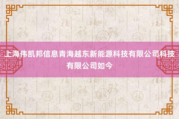 上海伟凯邦信息青海越东新能源科技有限公司科技有限公司如今
