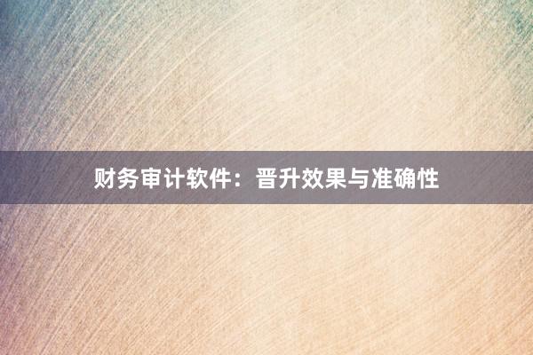 财务审计软件：晋升效果与准确性